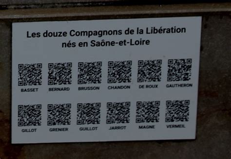 La Révolte des 12 Compagnons: Un Soufflet à la Dynastie Trần, Prélude aux Grandes Transformations Sociales au Vietnam